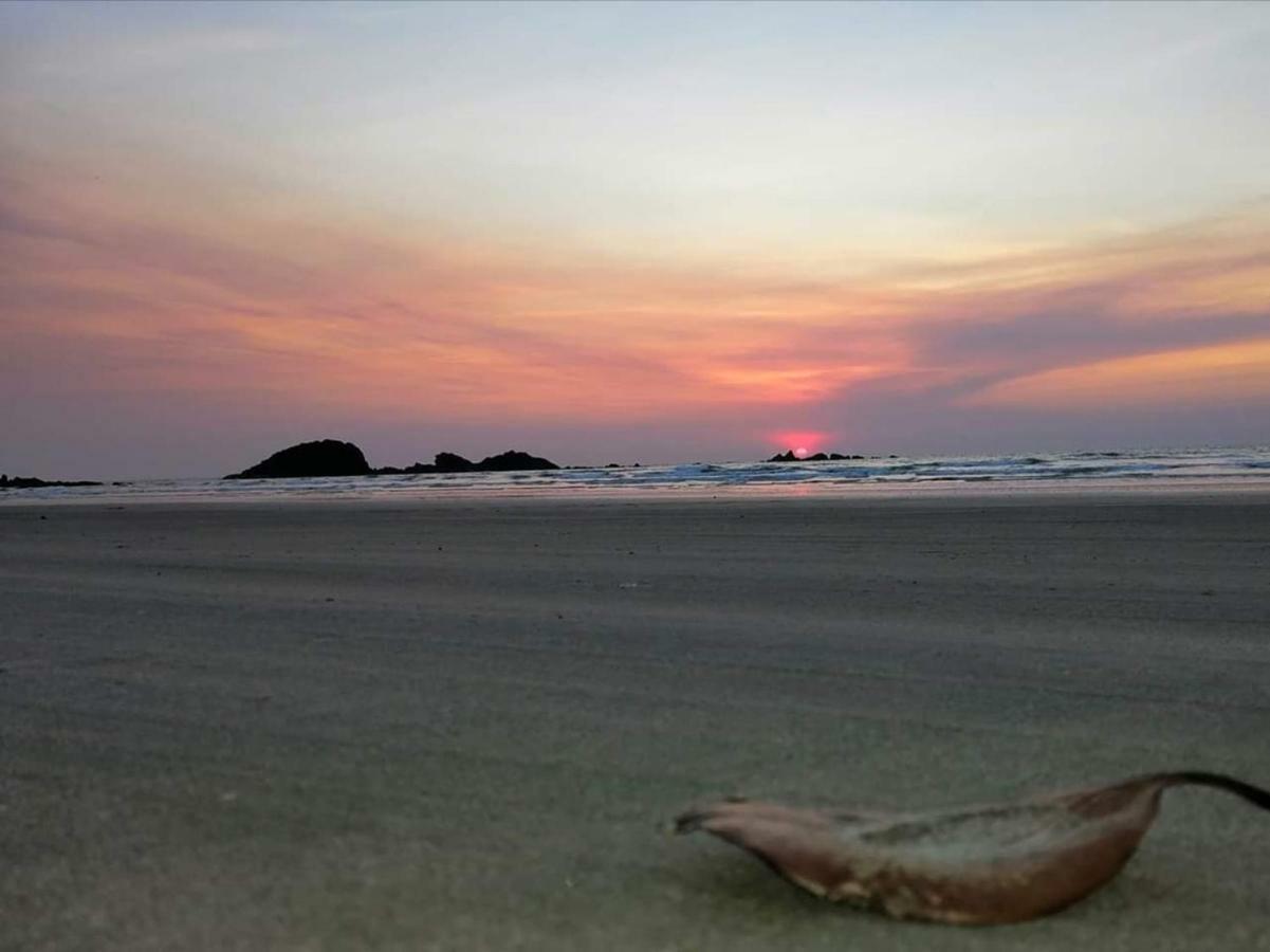 Corniche Beach Resort Mulappilangād Buitenkant foto